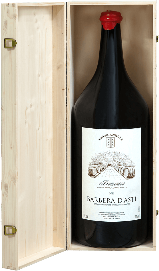 Domenico 12L Barbera  d Asti Piancanelli Winery  Azienda 