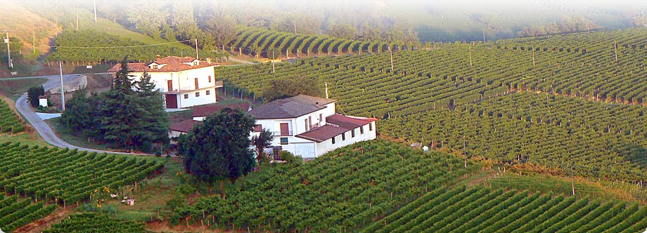footer-vineyards-vineyards-Farmhouse-Piancanelli-winery-premium-wines-Asti-Piedmont-Italy